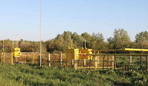 05.jpg